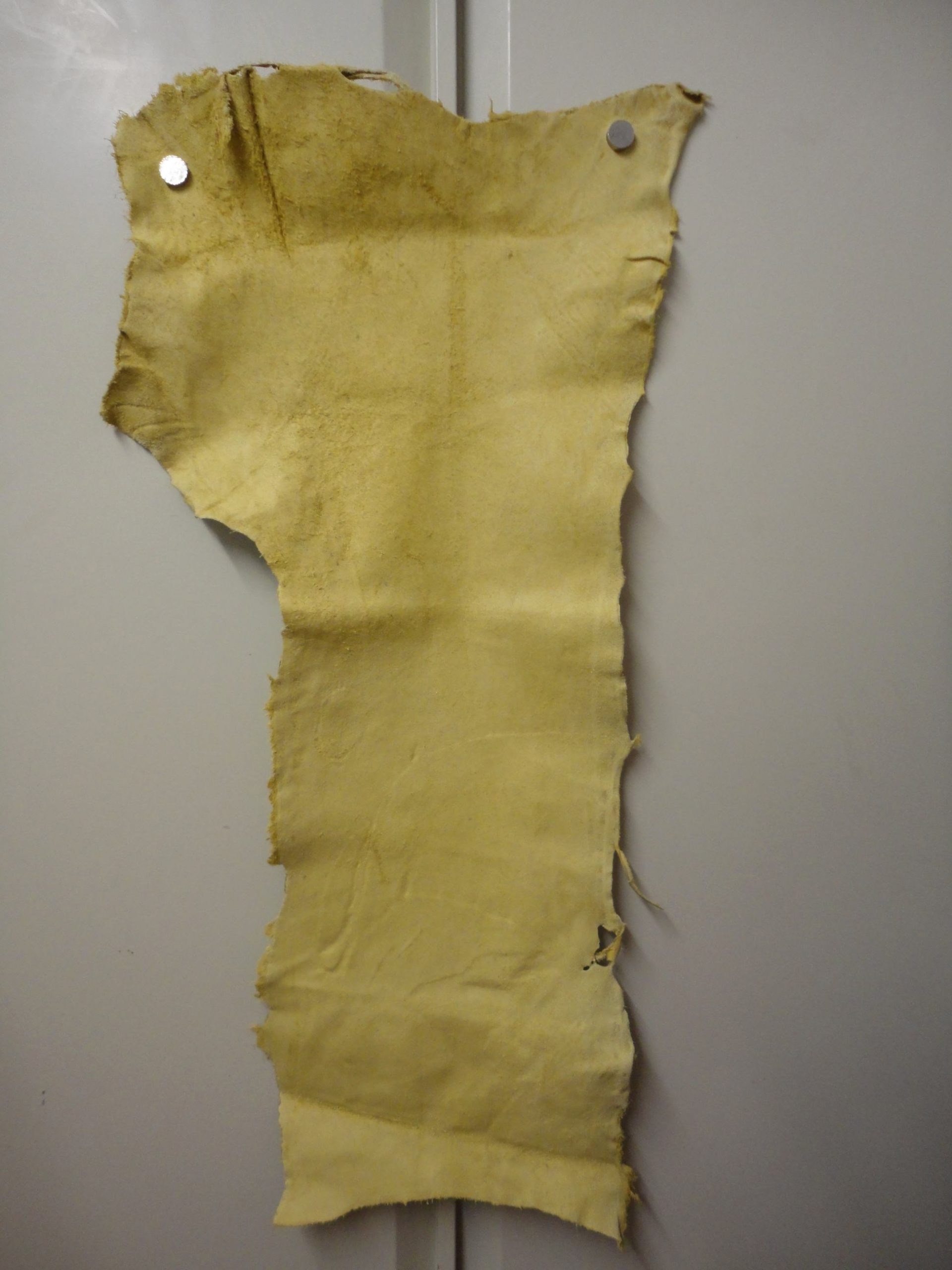 Cream Low Grade Belly leather - Image 2