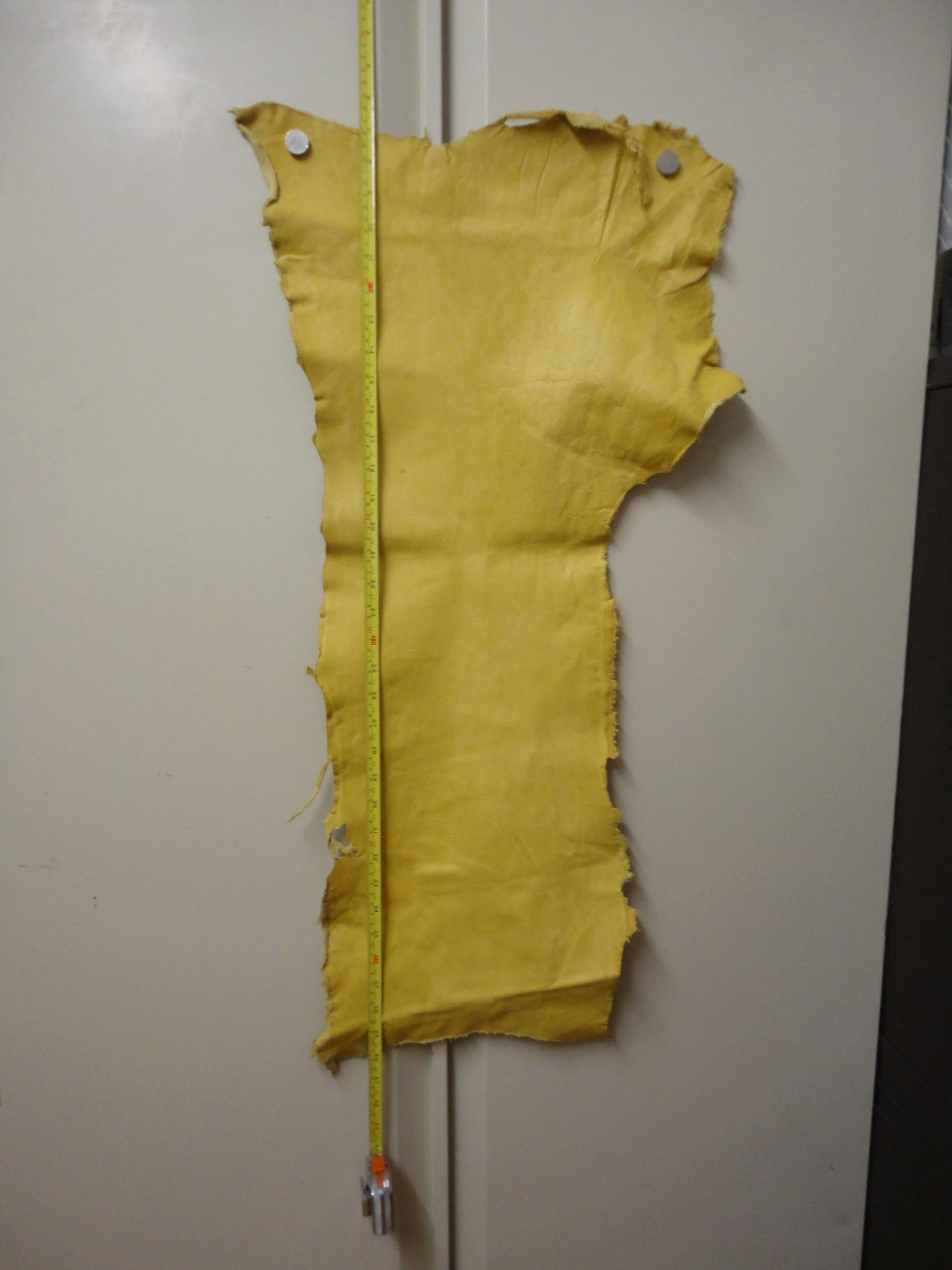 Cream Low Grade Belly leather - Image 3