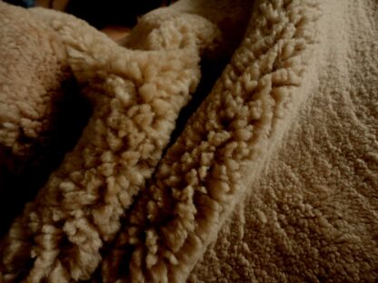 Honey Tan Brown Curly Sheep Hair On leather hide - Image 2