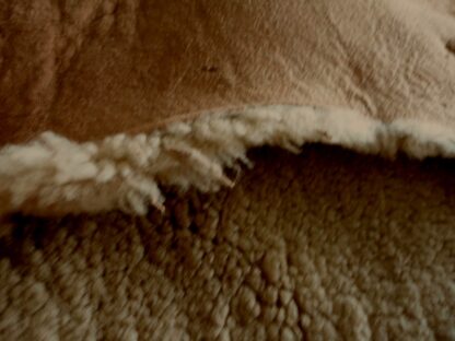 Honey Tan Brown Curly Sheep Hair On leather hide - Image 3