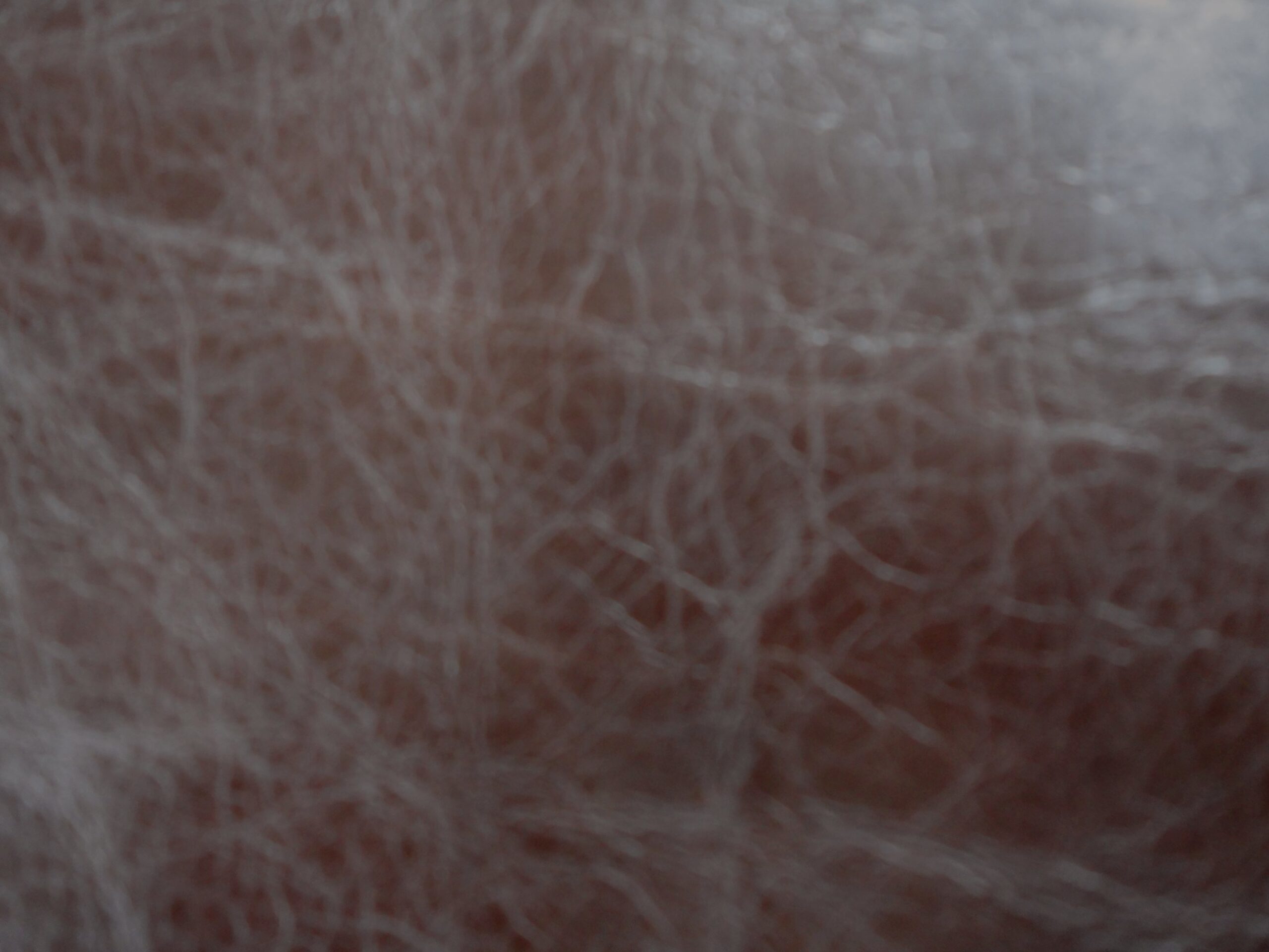 Dark Brown Aged leather - Image 3