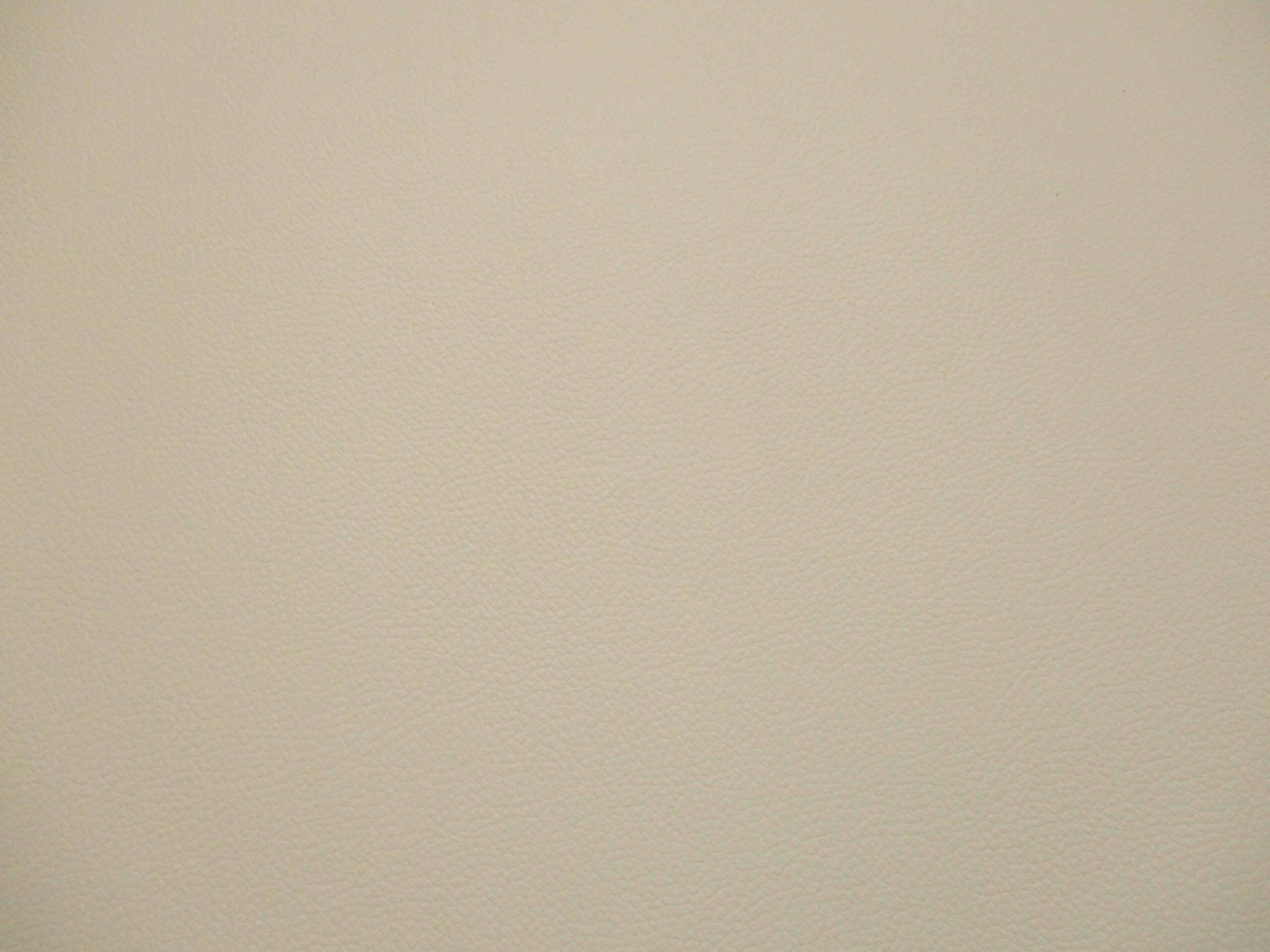 Cream  Corrected Grain Cowhide leather - Image 2