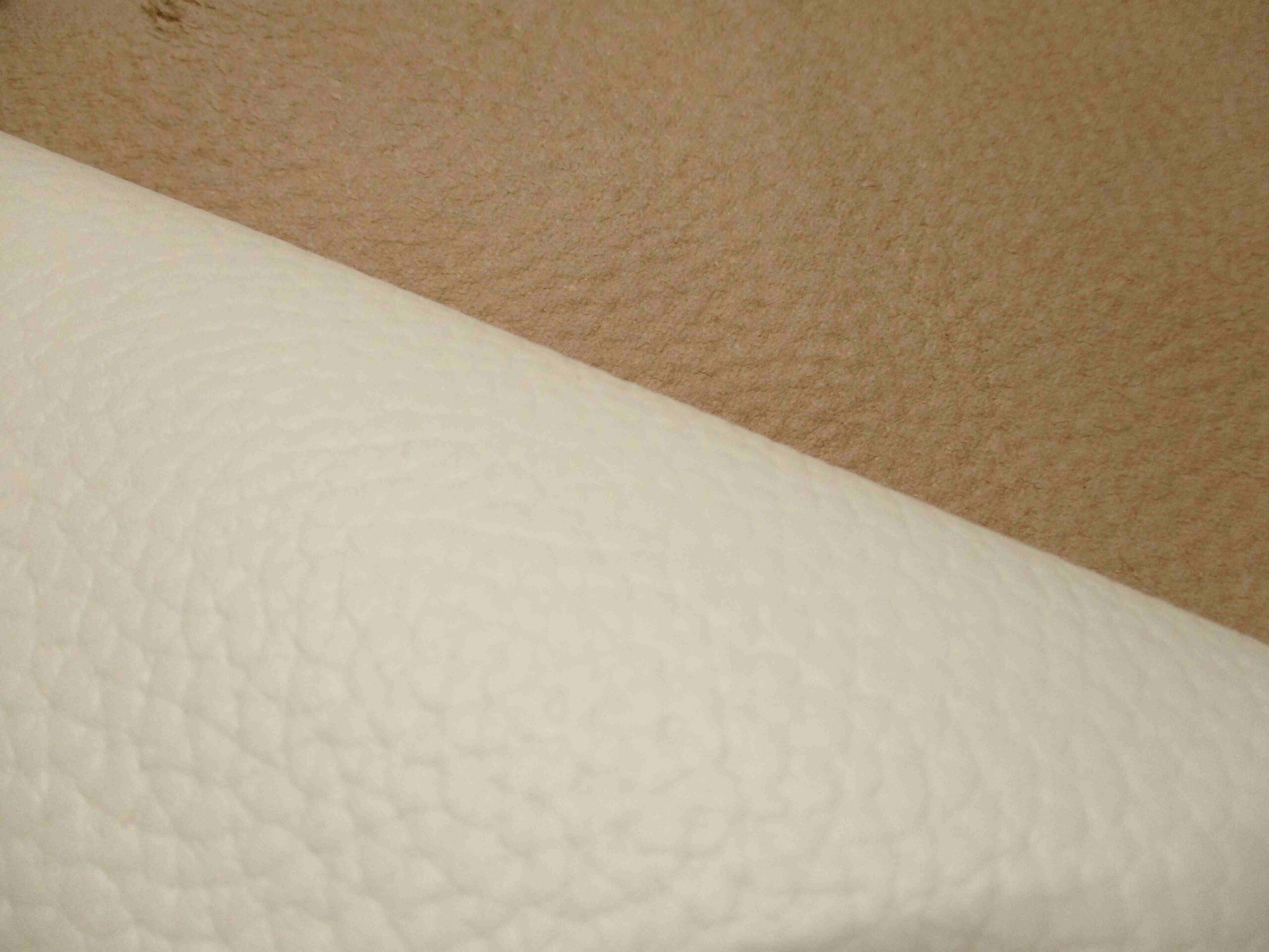 Cream  Corrected Grain Cowhide leather - Image 2