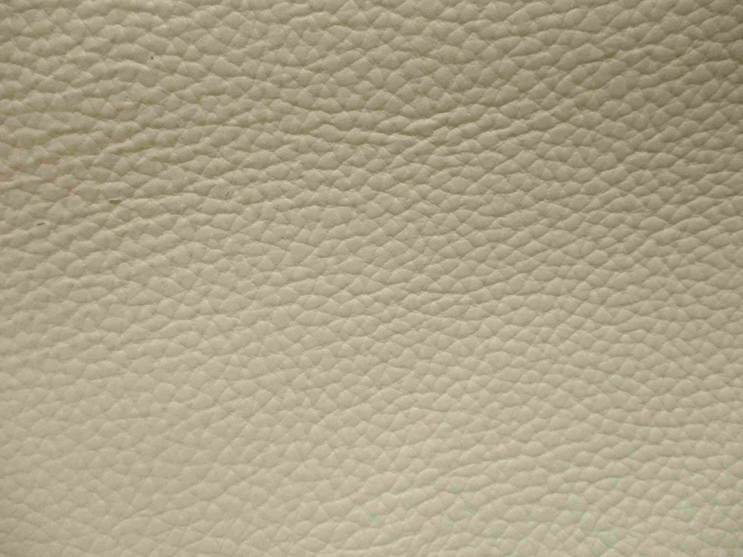 Cream  Corrected Grain Cowhide leather - Image 3