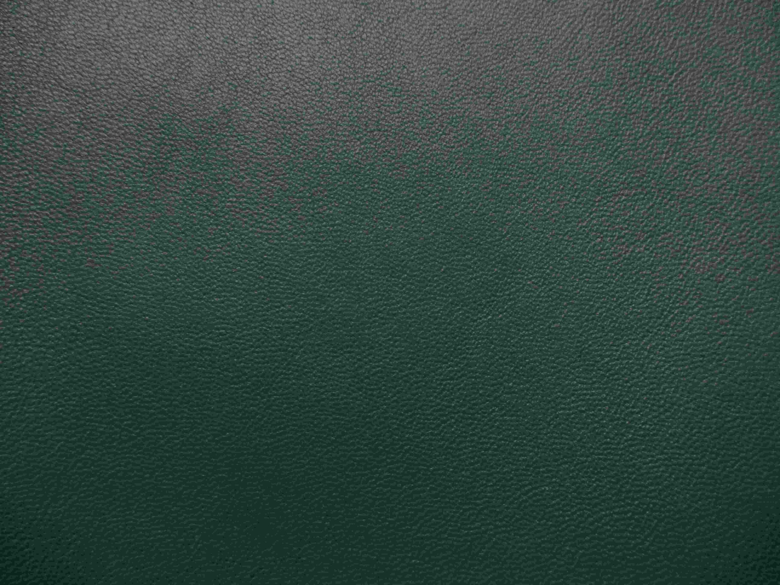Teal Green Smooth Soft Lambskin leather - Image 3
