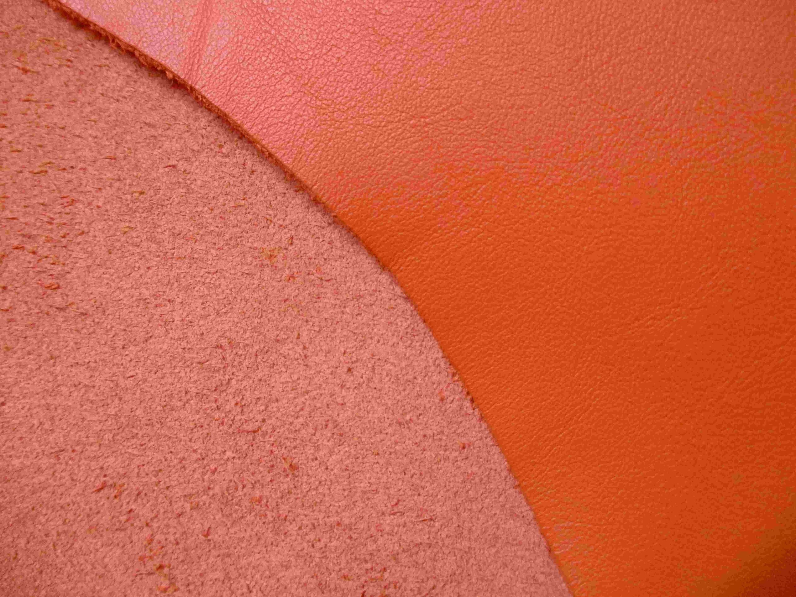 Tangerine Orange Smooth Cowhide leather - Image 2