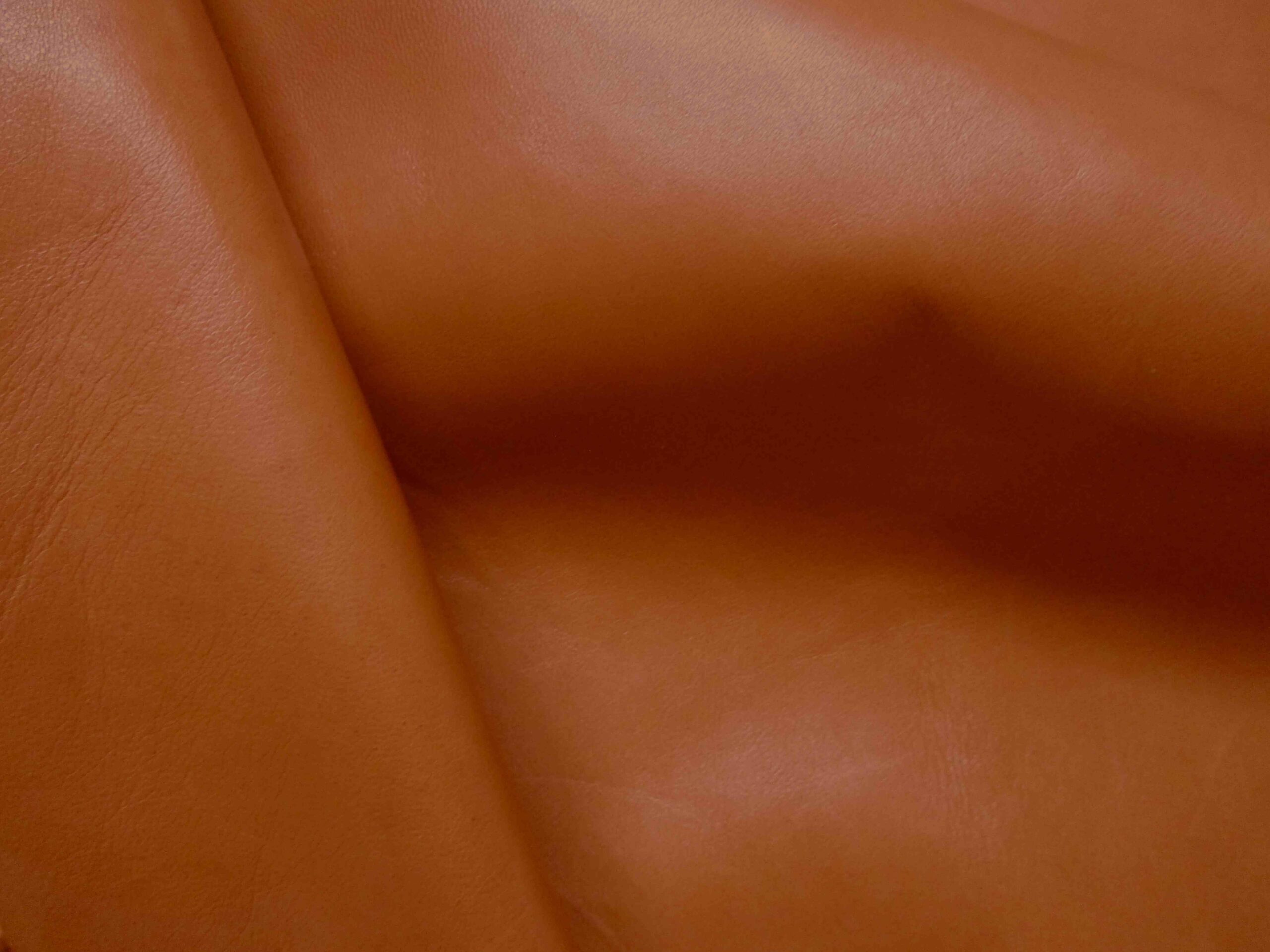 Mottled Tan Smooth gloving leather - Image 2