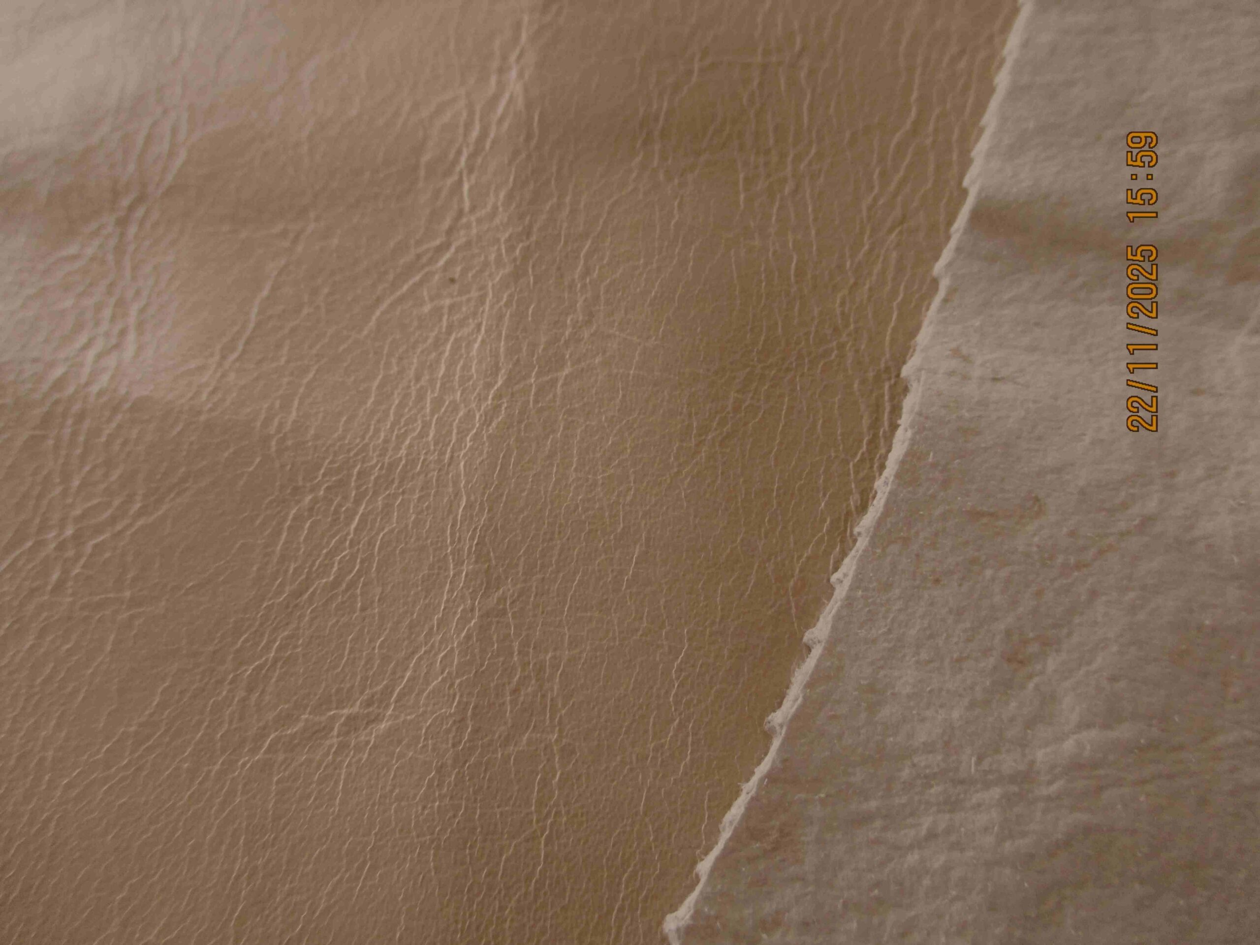 Cream Thin Smooth Polished leather - Image 3
